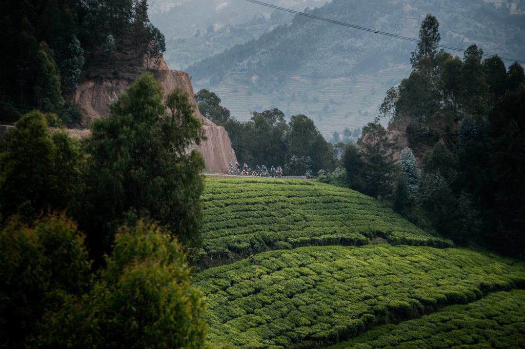David Lozano | Team Novo Nordisk | 2019 Tour du Rwanda