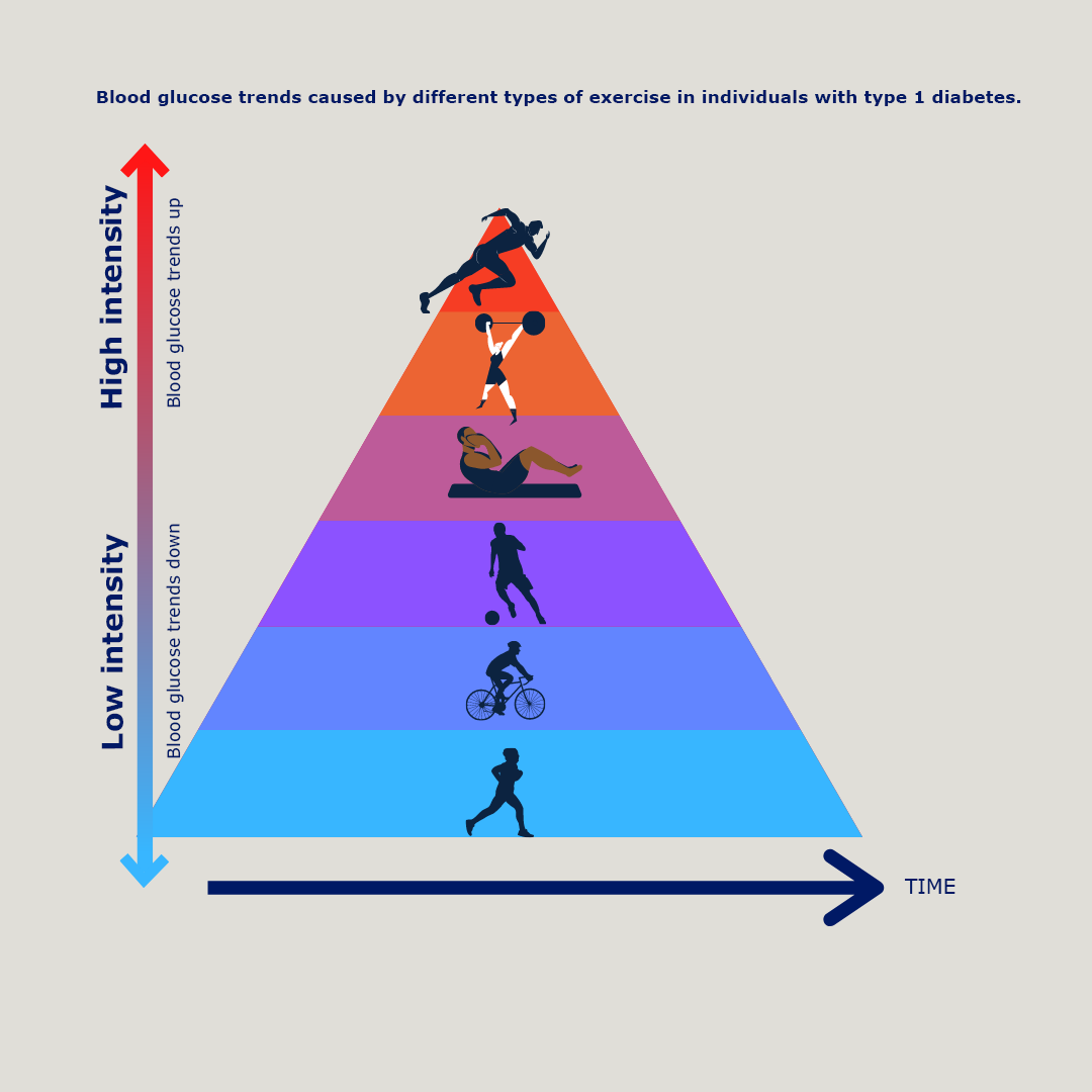 Exercise and blood sugar regulation in type  diabetes