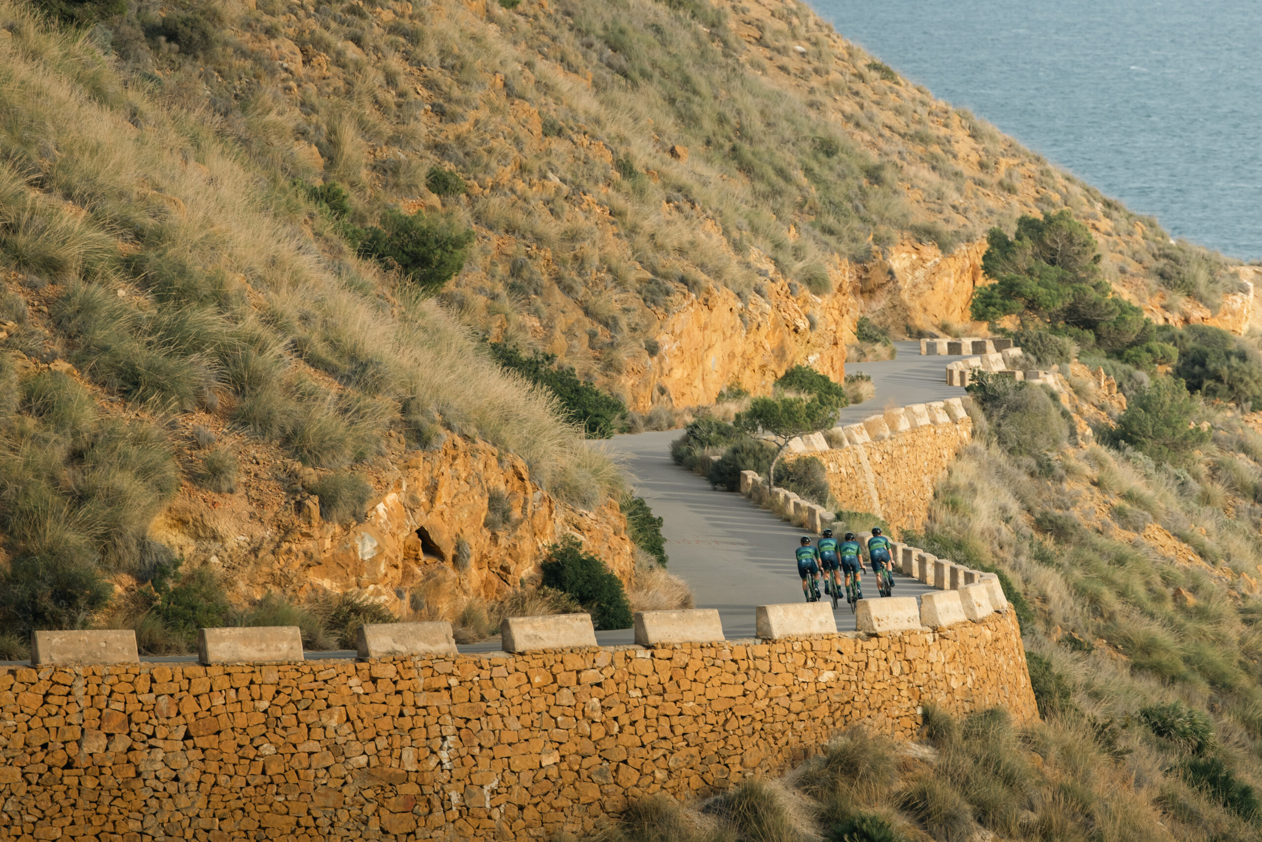 Team Novo Nordisk | About Team Novo Nordisk